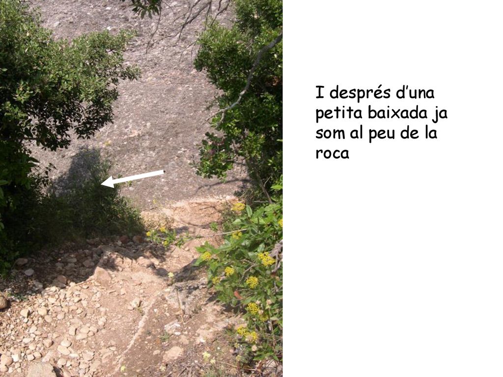 I després d’una petita baixada ja som al peu de la roca