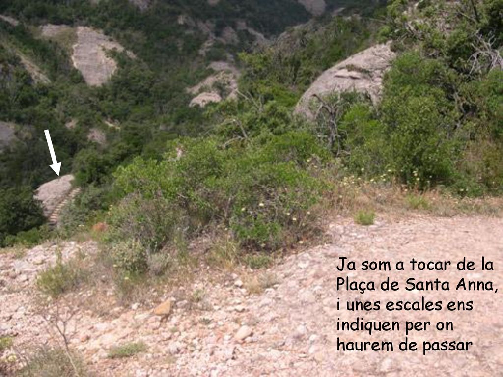 Ja som a tocar de la Plaça de Santa Anna, i unes escales ens indiquen per on haurem de passar