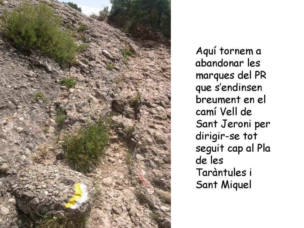 Aquí tornem a abandonar les marques del PR que s’endinsen breument en el camí Vell de Sant Jeroni per dirigir-se tot seguit cap al Pla de les Taràntules i Sant Miquel