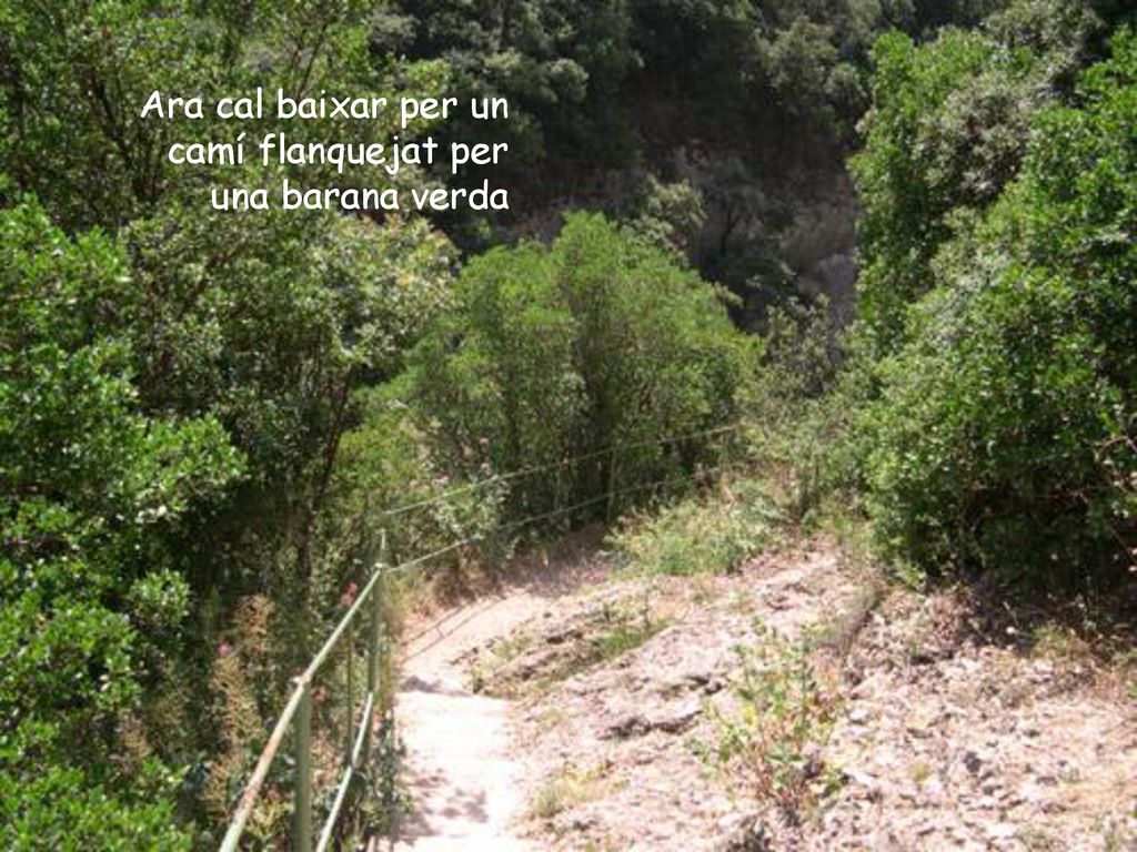 Ara cal baixar per un camí flanquejat per una barana verda