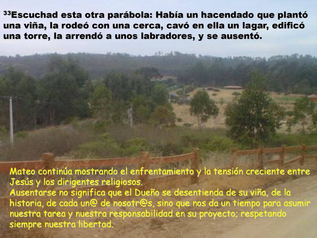 33Escuchad esta otra parábola: Había un hacendado que plantó una viña, la rodeó con una cerca, cavó en ella un lagar, edificó una torre, la arrendó a unos labradores, y se ausentó.