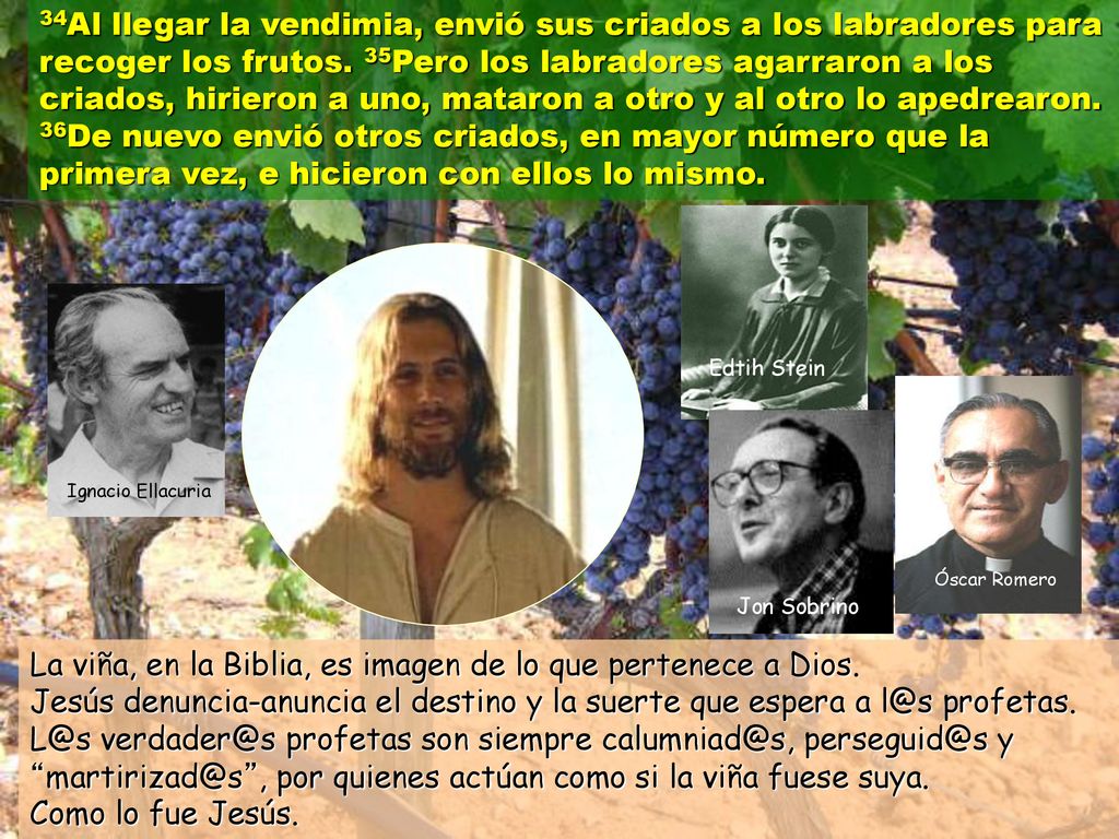 La viña, en la Biblia, es imagen de lo que pertenece a Dios.