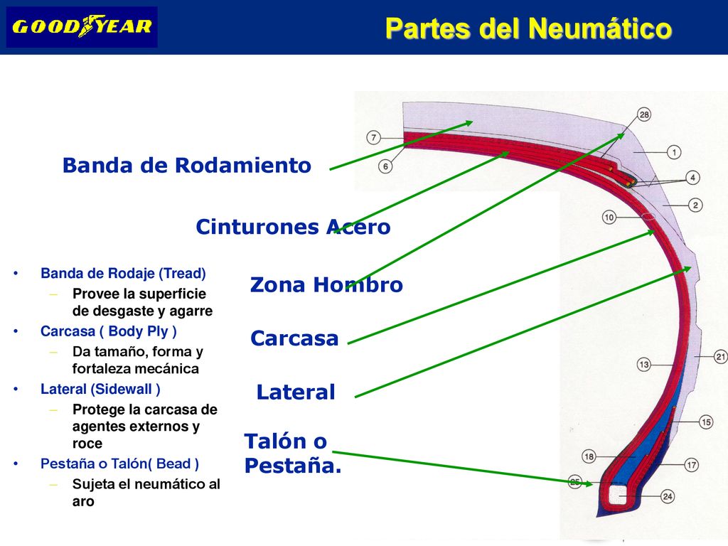 Partes del Neumático Banda de Rodamiento Cinturones Acero Zona Hombro