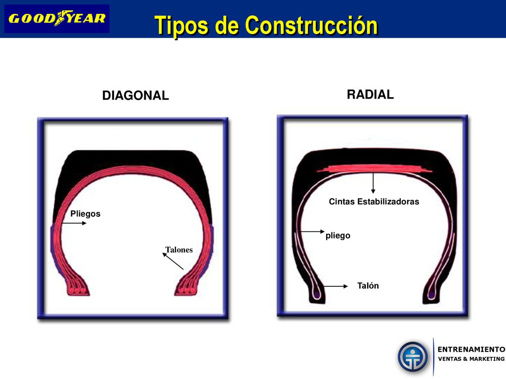 Tipos de Construcción DIAGONAL RADIAL Cintas Estabilizadoras Pliegos