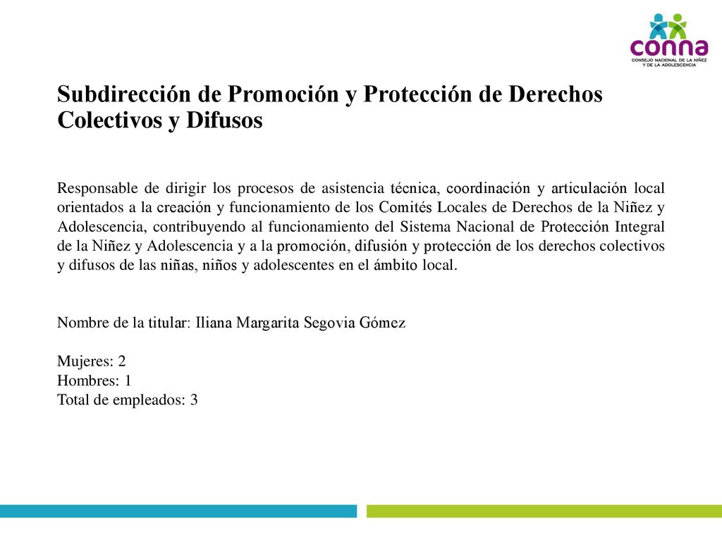 Subdirección de Promoción y Protección de Derechos Colectivos y Difusos