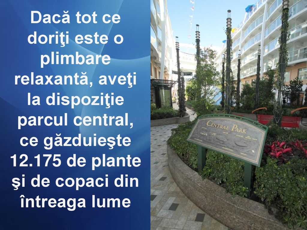 Dacă tot ce doriţi este o plimbare relaxantă, aveţi la dispoziţie parcul central, ce găzduieşte de plante şi de copaci din întreaga lume