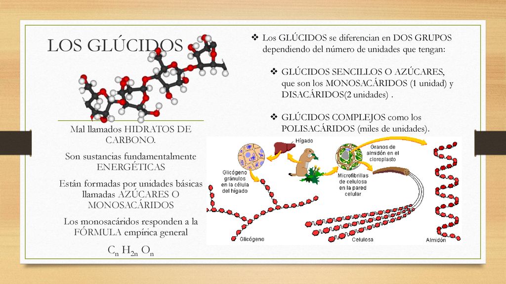 LOS GLÚCIDOS Cn H2n On Mal llamados HIDRATOS DE CARBONO.
