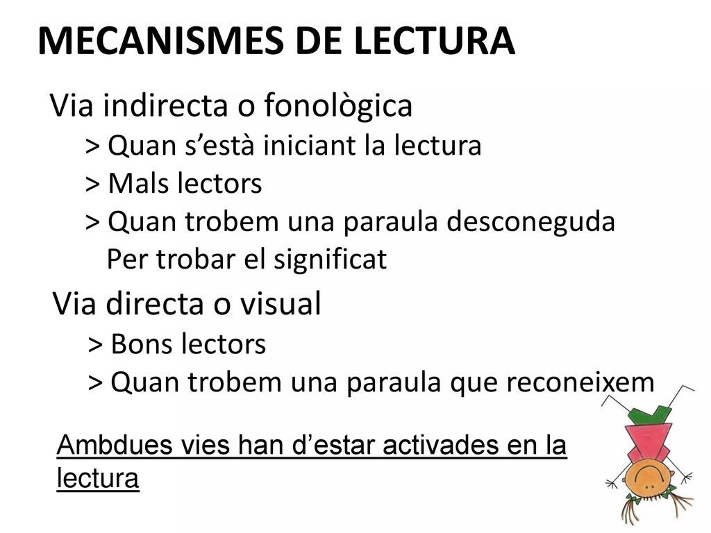 MECANISMES DE LECTURA Via indirecta o fonològica Via directa o visual