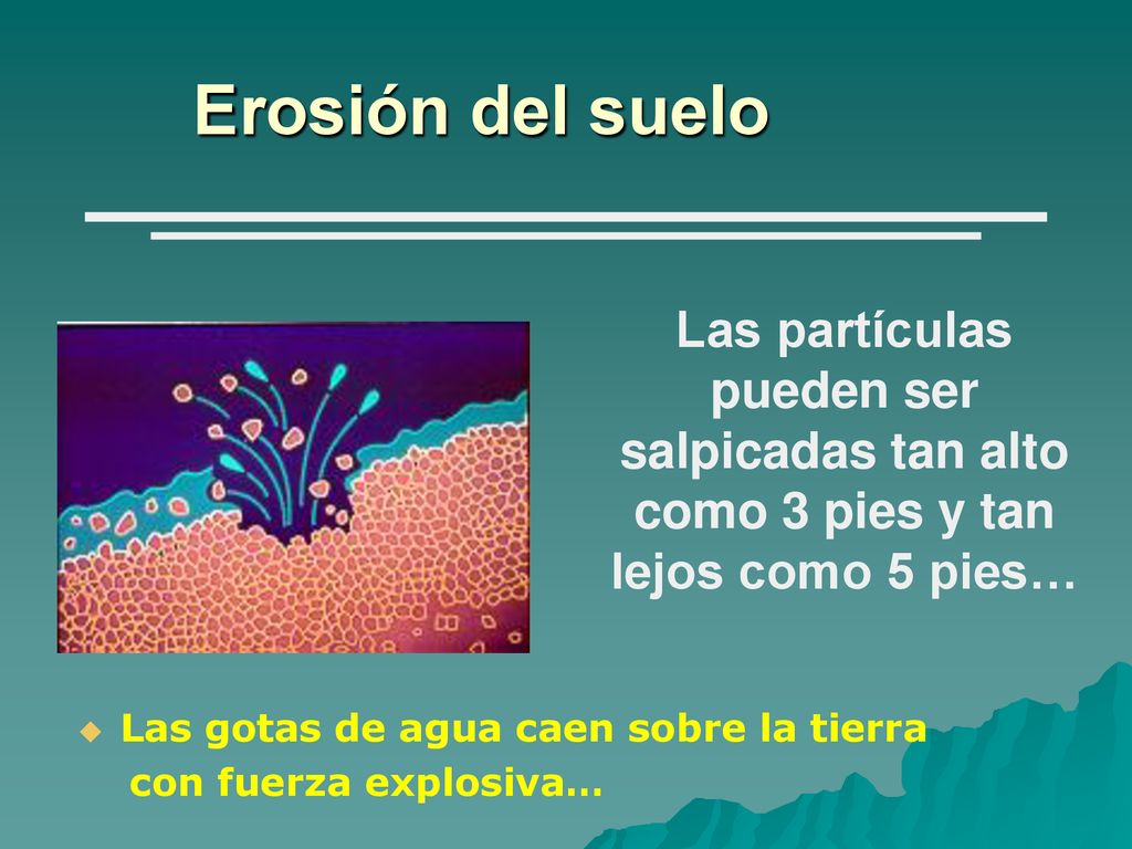 Erosión del suelo Las partículas pueden ser salpicadas tan alto como 3 pies y tan lejos como 5 pies…