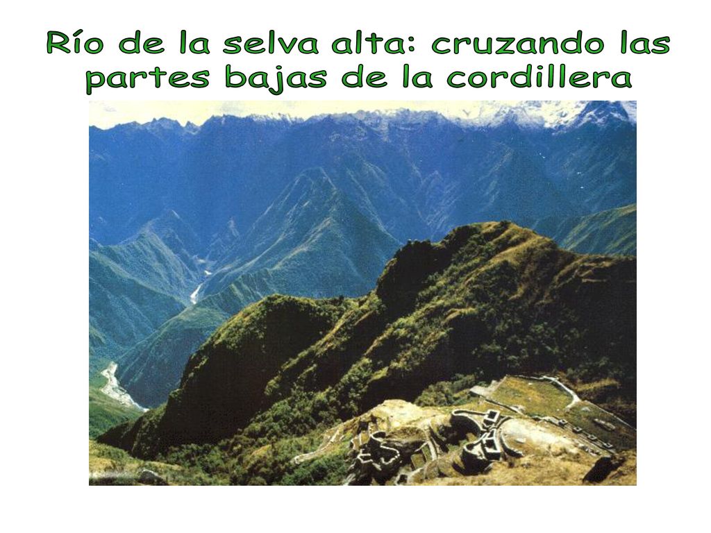 Río de la selva alta: cruzando las partes bajas de la cordillera