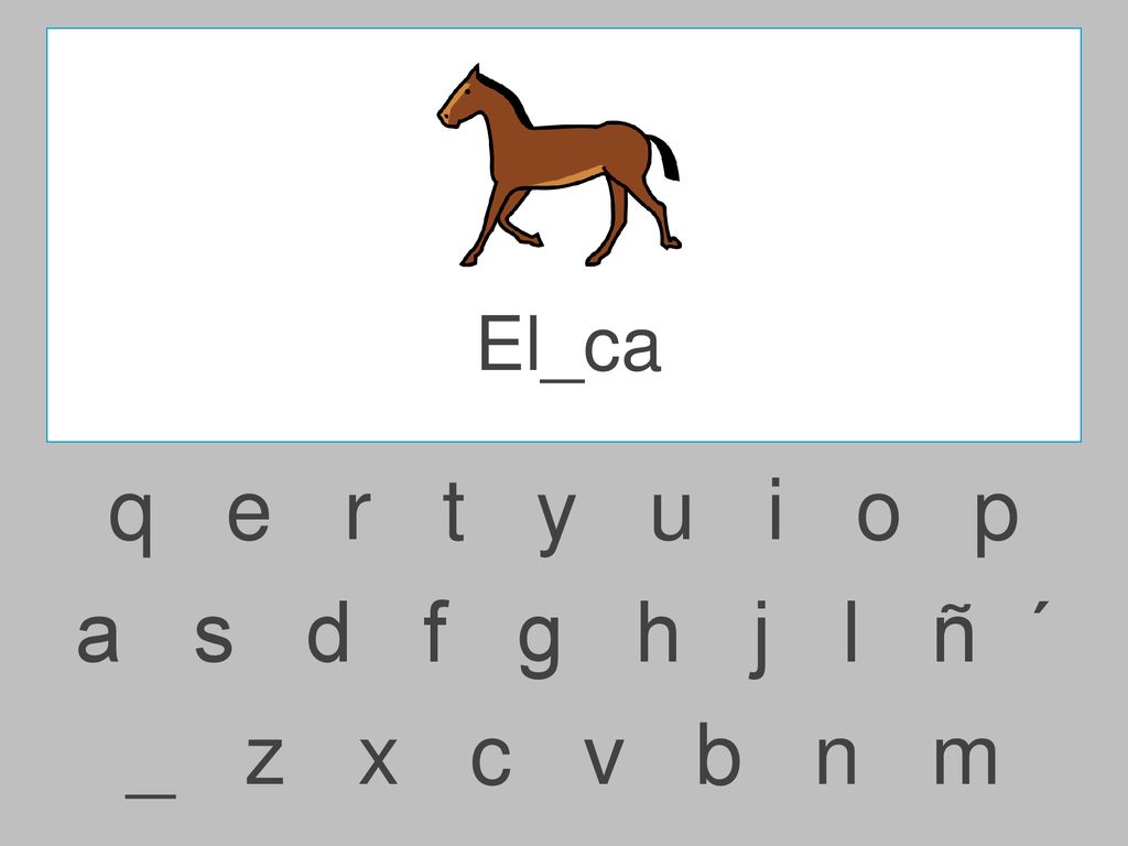 El_ca q e r t y u i o p.