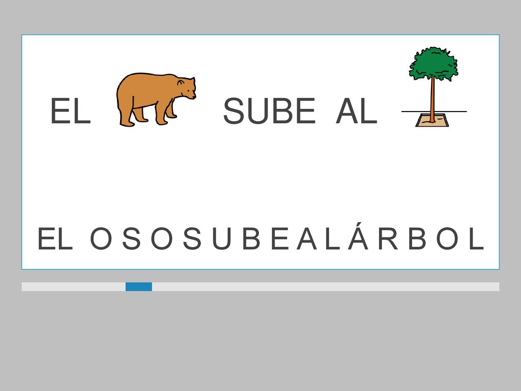 EL SUBE AL EL O S O S U B E A L Á R B O L