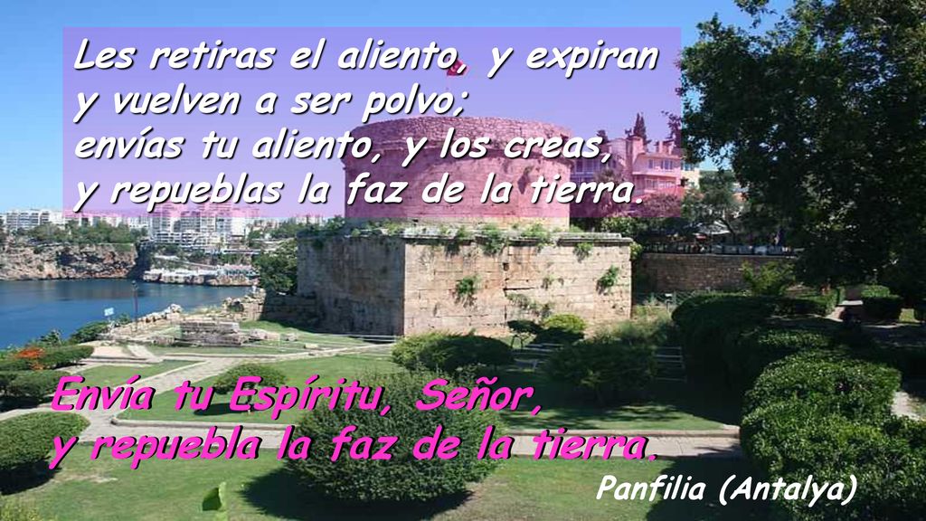 Envía tu Espíritu, Señor, y repuebla la faz de la tierra.