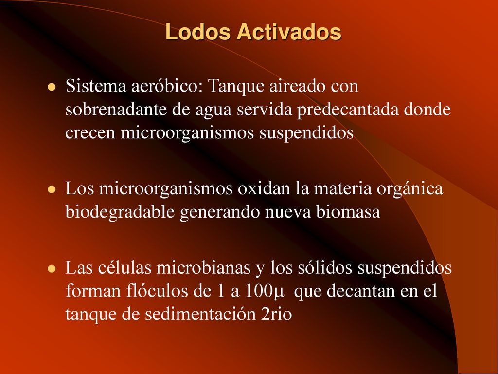 Lodos Activados Sistema aeróbico: Tanque aireado con sobrenadante de agua servida predecantada donde crecen microorganismos suspendidos.