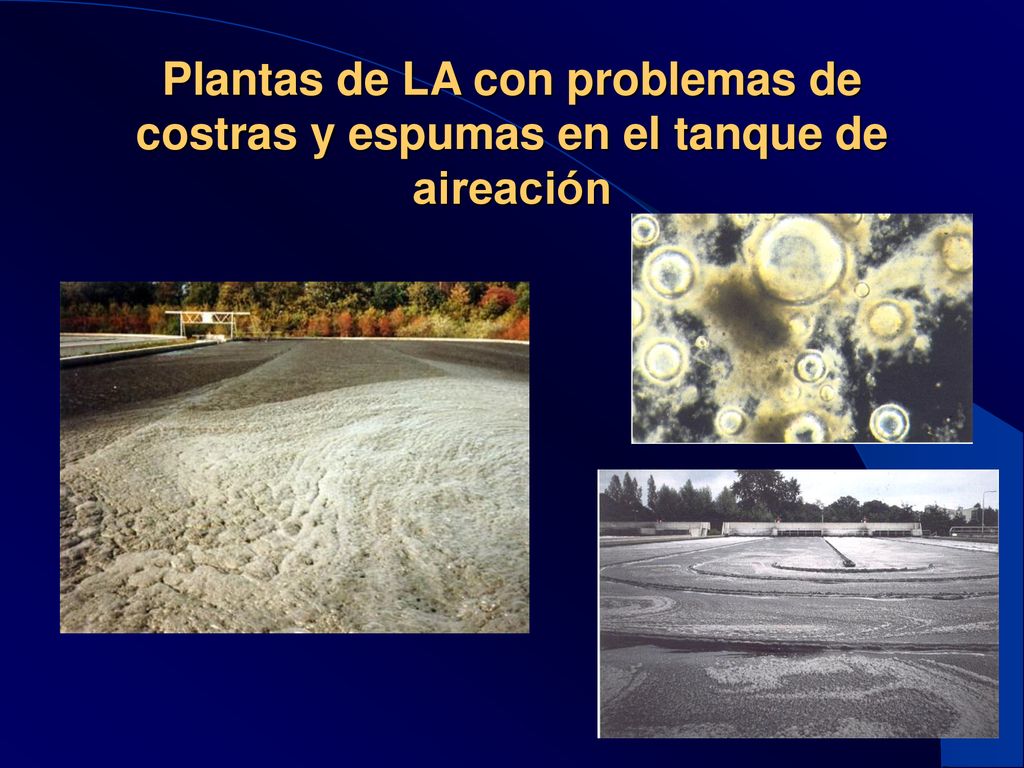 Plantas de LA con problemas de costras y espumas en el tanque de aireación