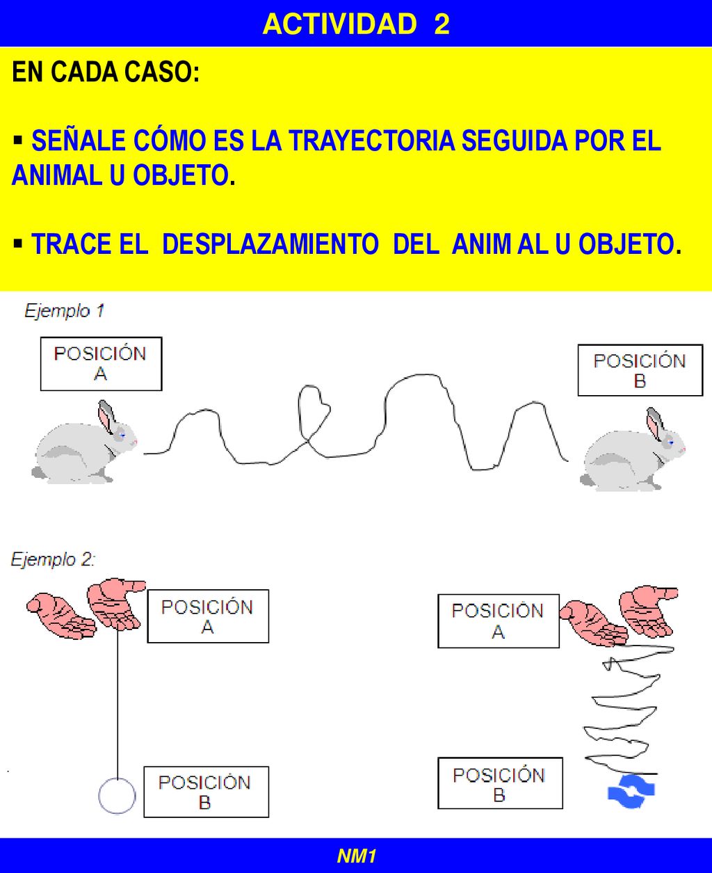 SEÑALE CÓMO ES LA TRAYECTORIA SEGUIDA POR EL ANIMAL U OBJETO.
