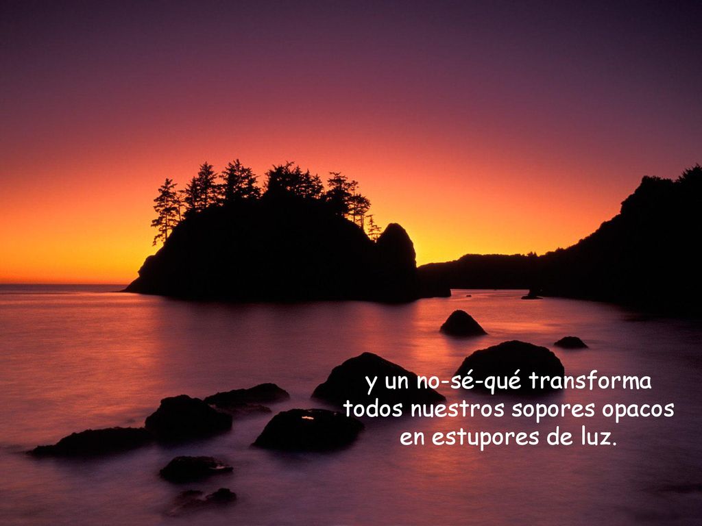 y un no-sé-qué transforma todos nuestros sopores opacos en estupores de luz.