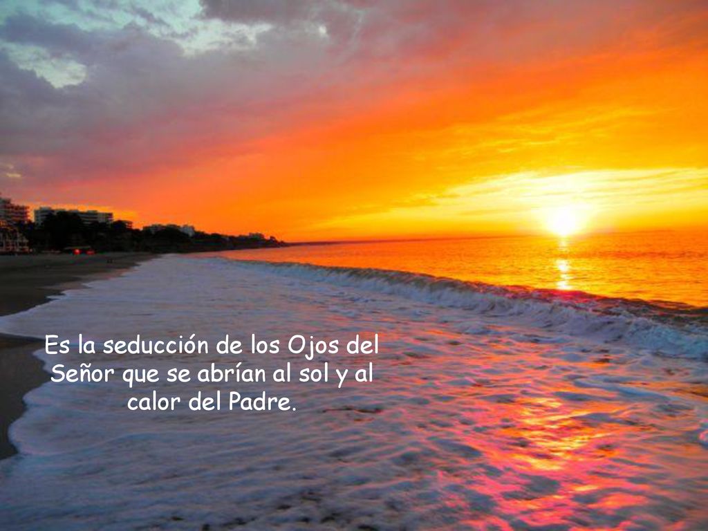 Es la seducción de los Ojos del Señor que se abrían al sol y al calor del Padre.
