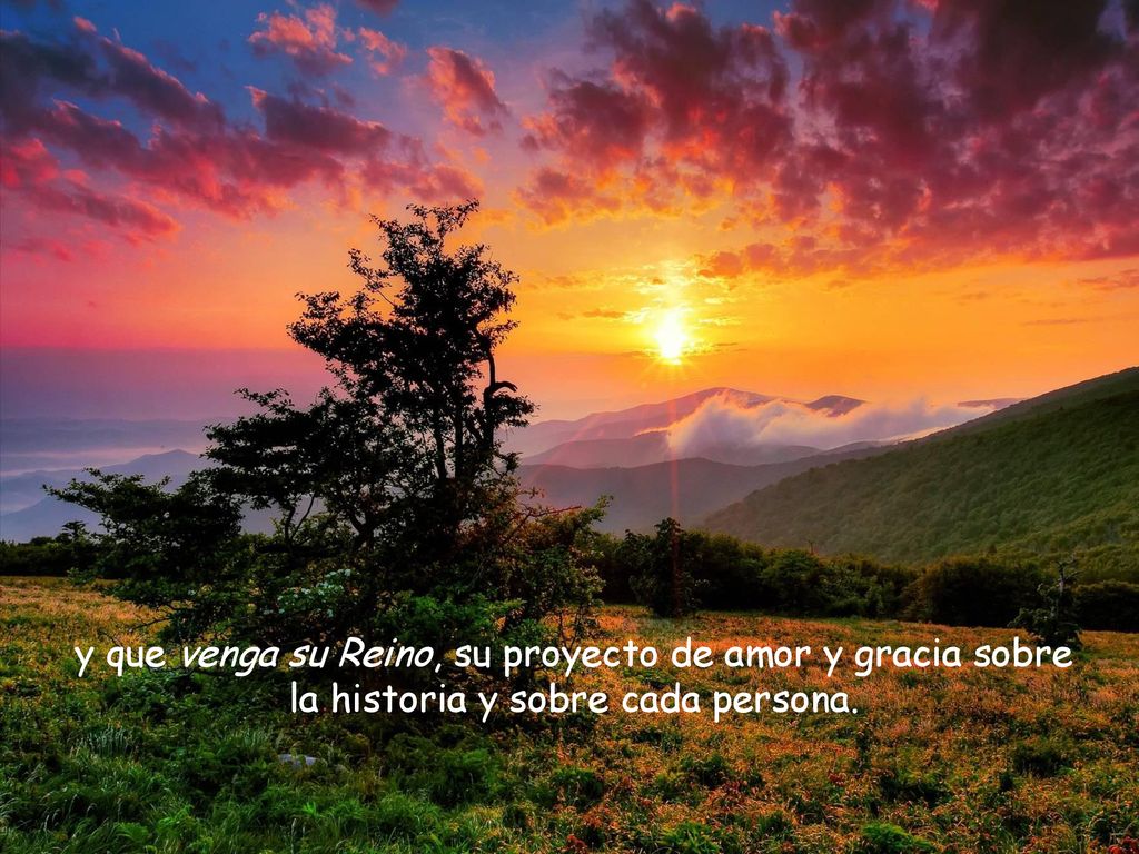 y que venga su Reino, su proyecto de amor y gracia sobre la historia y sobre cada persona.