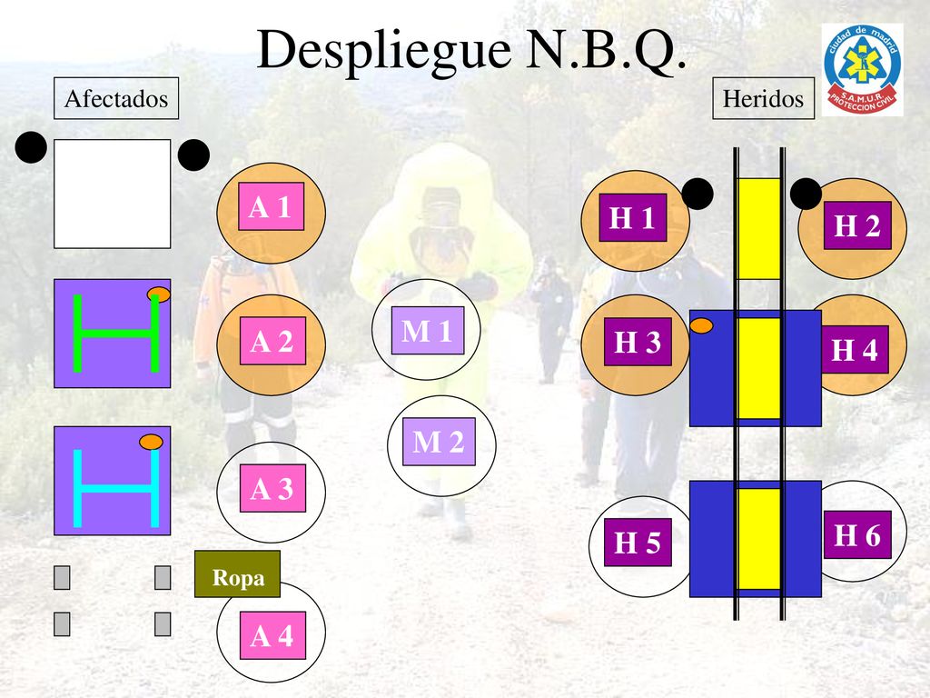 Despliegue N.B.Q. A 1 H 1 H 2 M 1 A 2 H 3 H 4 M 2 A 3 H 6 H 5 A 4