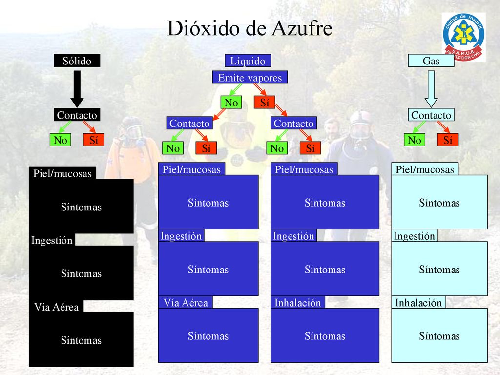 Dióxido de Azufre Sólido Líquido Gas Emite vapores No Sí Contacto