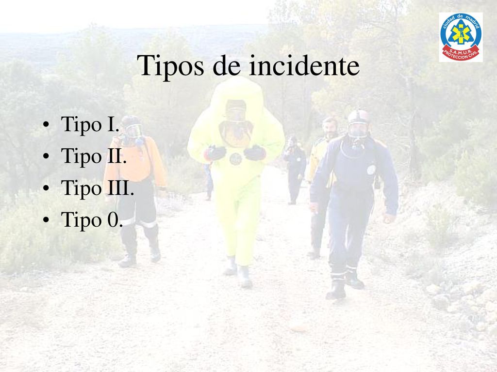 Tipos de incidente Tipo I. Tipo II. Tipo III. Tipo 0.
