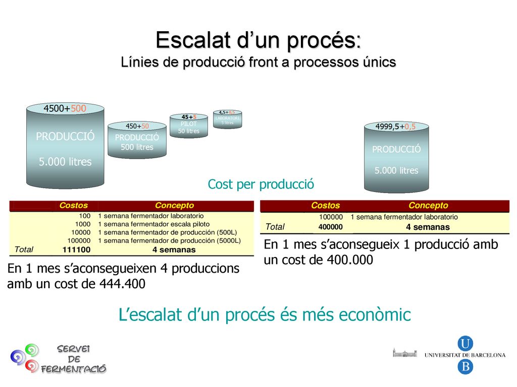 Escalat d’un procés: Línies de producció front a processos únics