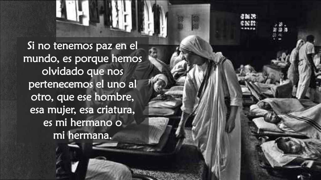 Si no tenemos paz en el mundo, es porque hemos olvidado que nos pertenecemos el uno al otro, que ese hombre,