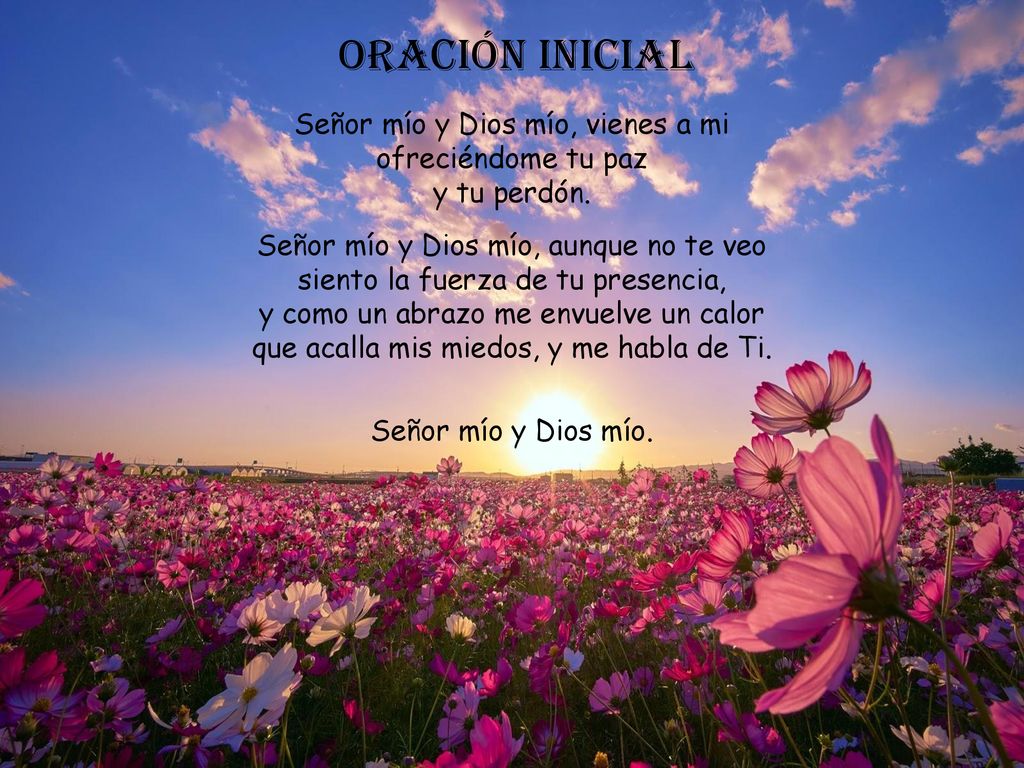 ORACIÓN INICIAL Señor mío y Dios mío, vienes a mi ofreciéndome tu paz