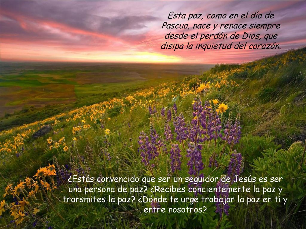 Esta paz, como en el día de Pascua, nace y renace siempre desde el perdón de Dios, que disipa la inquietud del corazón.