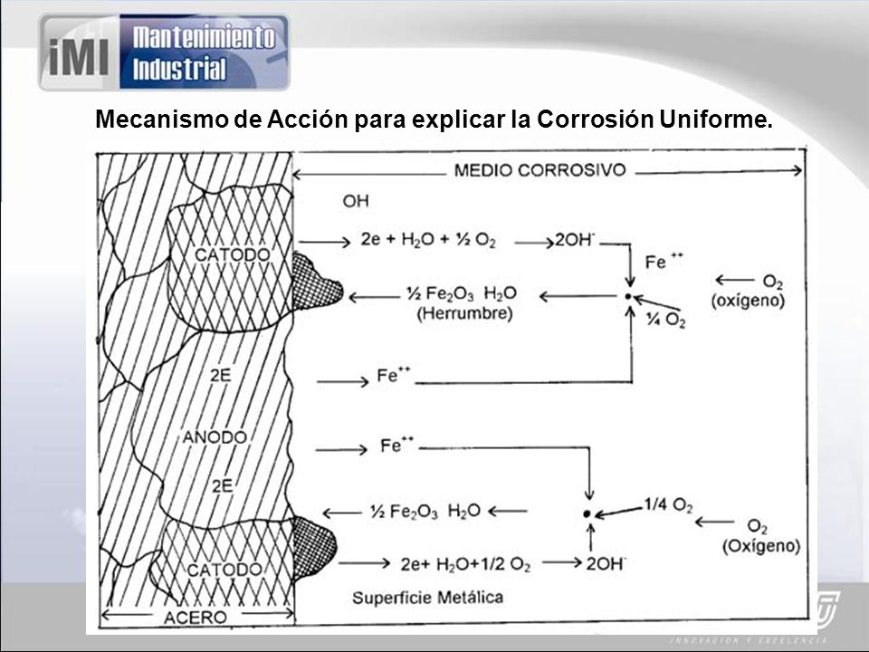 Mecanismo de Acción para explicar la Corrosión Uniforme.
