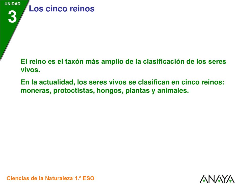 El reino es el taxón más amplio de la clasificación de los seres vivos.
