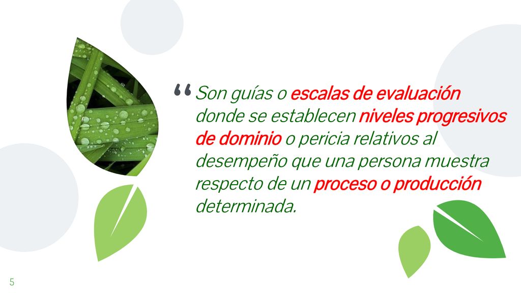 Son guías o escalas de evaluación donde se establecen niveles progresivos de dominio o pericia relativos al desempeño que una persona muestra respecto de un proceso o producción determinada.