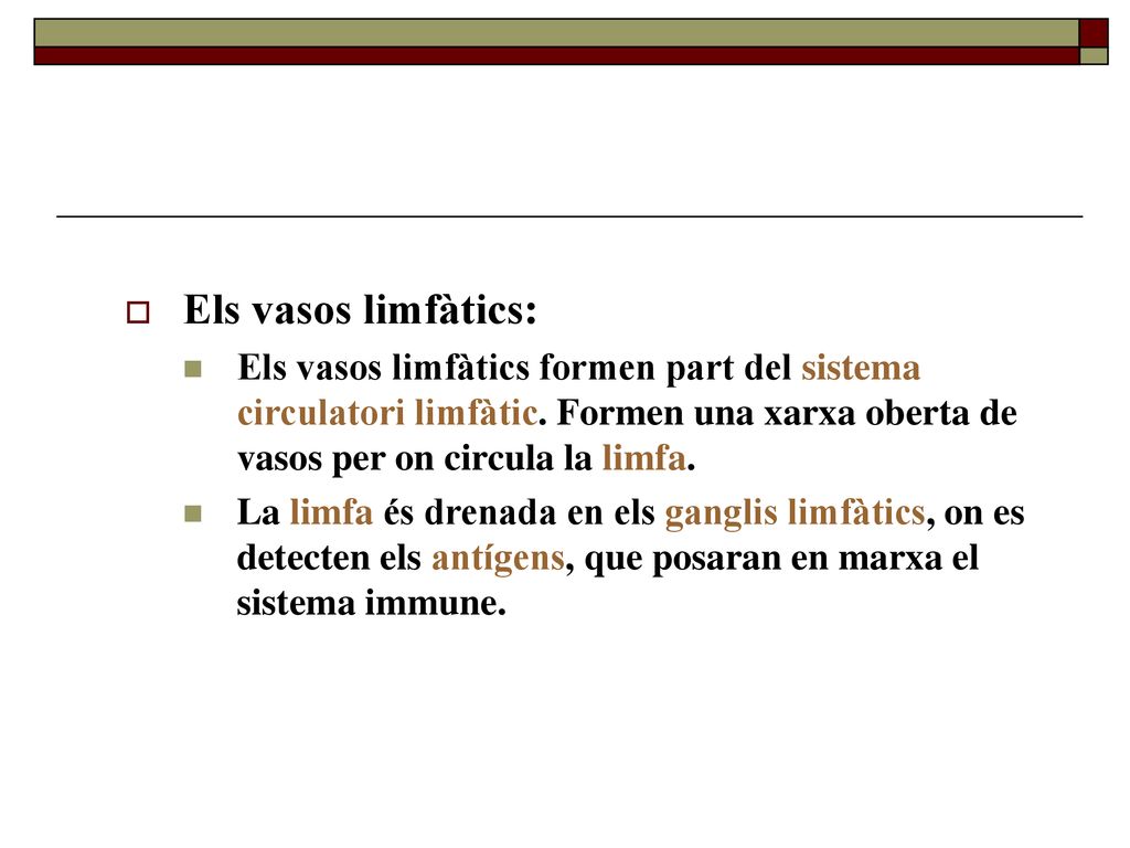 Els vasos limfàtics: Els vasos limfàtics formen part del sistema circulatori limfàtic. Formen una xarxa oberta de vasos per on circula la limfa.