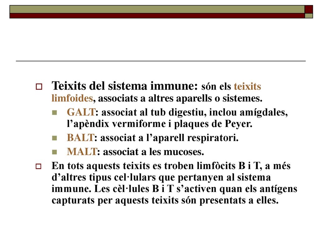 Teixits del sistema immune: són els teixits limfoides, associats a altres aparells o sistemes.