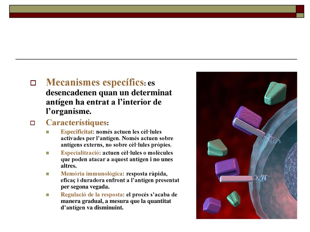 Mecanismes específics: es desencadenen quan un determinat antígen ha entrat a l’interior de l’organisme.