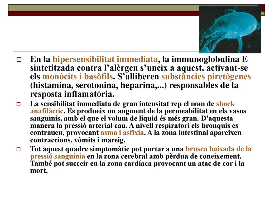 En la hipersensibilitat immediata, la immunoglobulina E sintetitzada contra l’alèrgen s’uneix a aquest, activant-se els monòcits i basòfils. S’alliberen substàncies piretògenes (histamina, serotonina, heparina,...) responsables de la resposta inflamatòria.