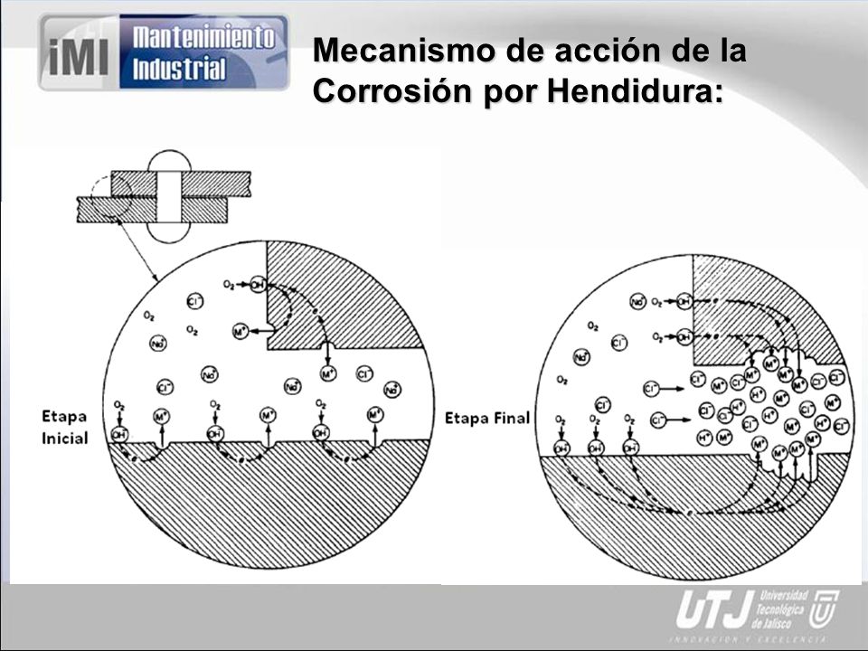 Mecanismo de acción de la Corrosión por Hendidura: