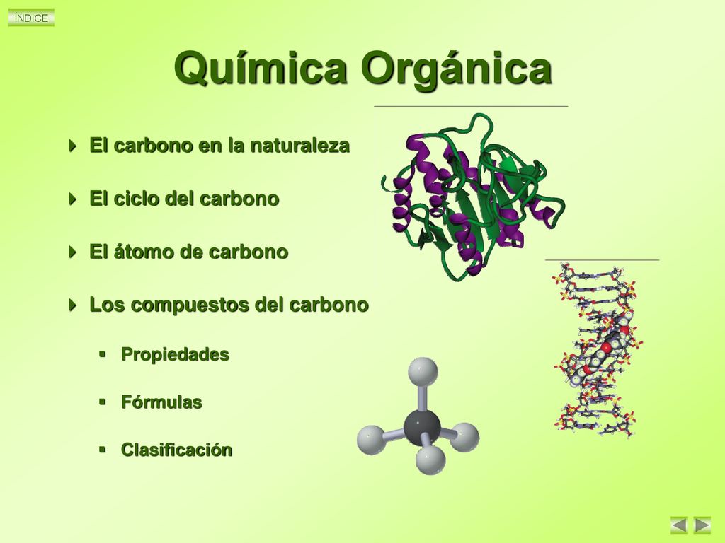 Química Orgánica El carbono en la naturaleza El ciclo del carbono