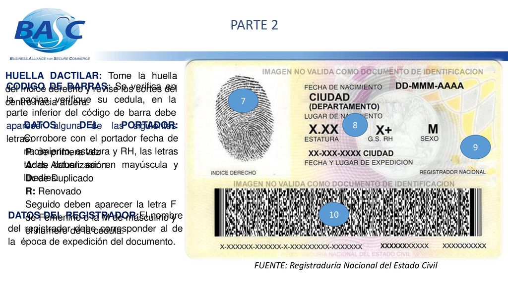 PARTE 2 HUELLA DACTILAR: Tome la huella del índice derecho y revise los cortes del centro hacia afuera.