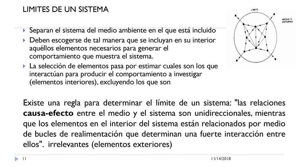 LIMITES DE UN SISTEMA Separan el sistema del medio ambiente en el que está incluido.