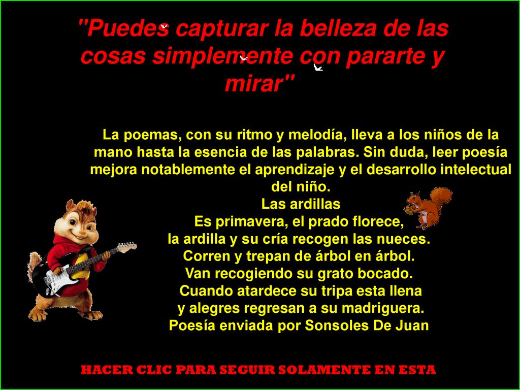 Puedes capturar la belleza de las cosas simplemente con pararte y mirar