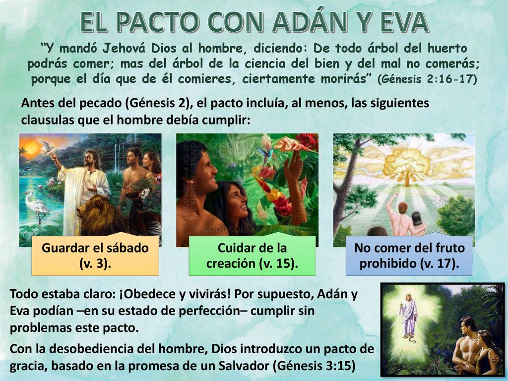 Cuidar de la creación (v. 15). No comer del fruto prohibido (v. 17).