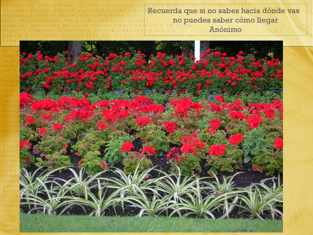 Recuerda que si no sabes hacia dónde vas no puedes saber cómo llegar