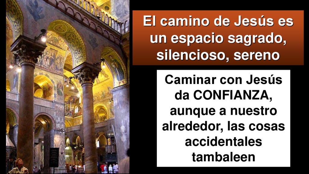 El camino de Jesús es un espacio sagrado, silencioso, sereno