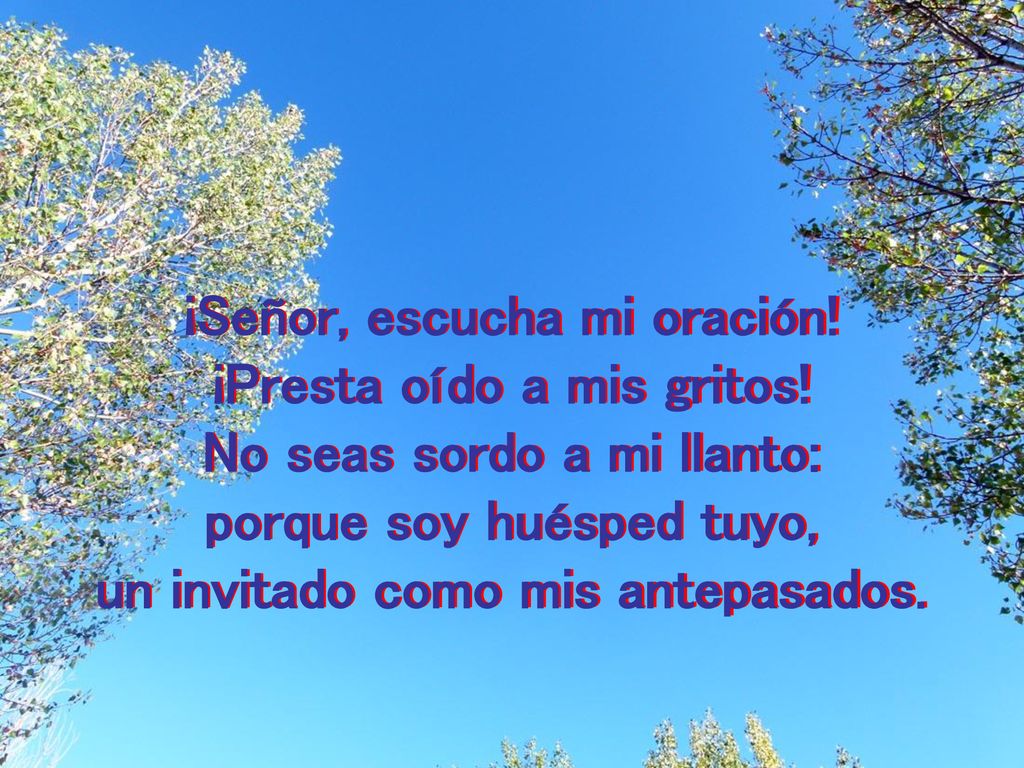 ¡Señor, escucha mi oración! ¡Presta oído a mis gritos!