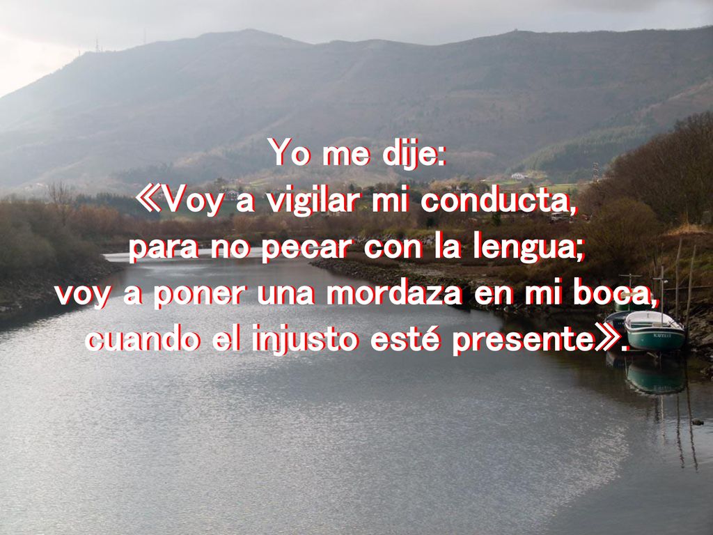 «Voy a vigilar mi conducta, para no pecar con la lengua;