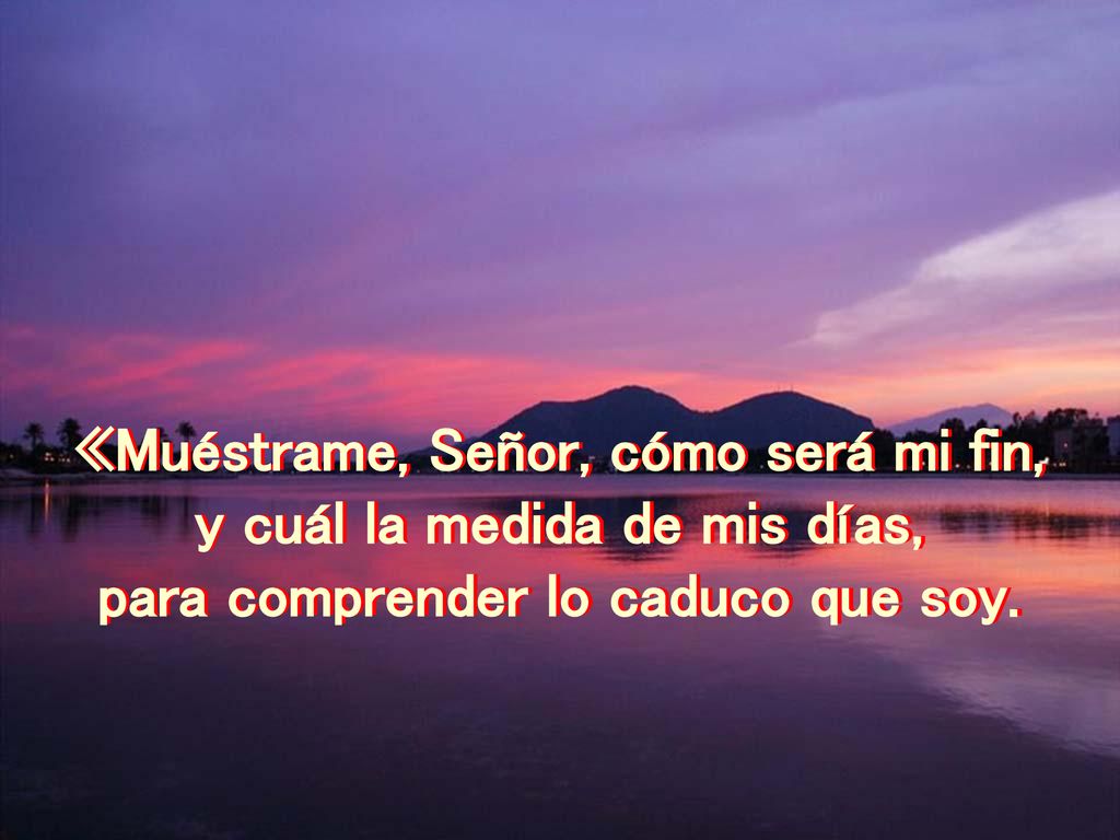 «Muéstrame, Señor, cómo será mi fin, y cuál la medida de mis días,