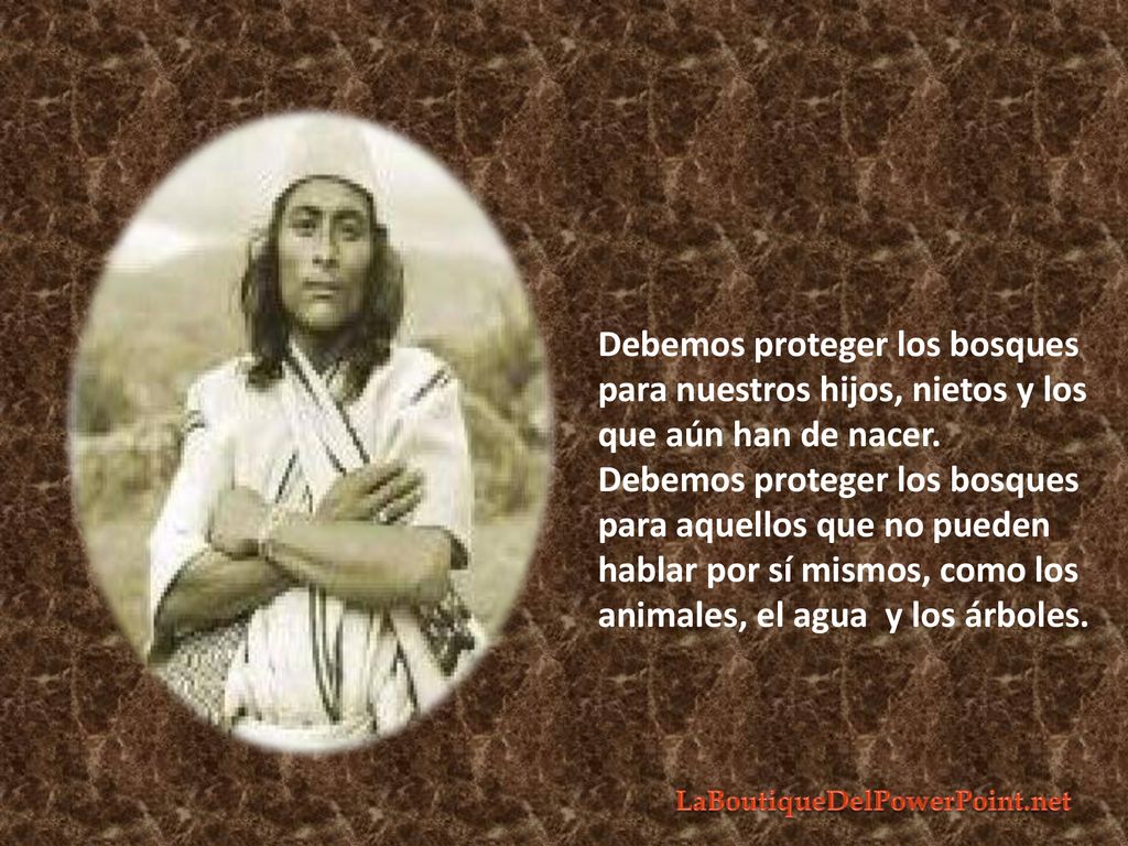 Debemos proteger los bosques para nuestros hijos, nietos y los que aún han de nacer.