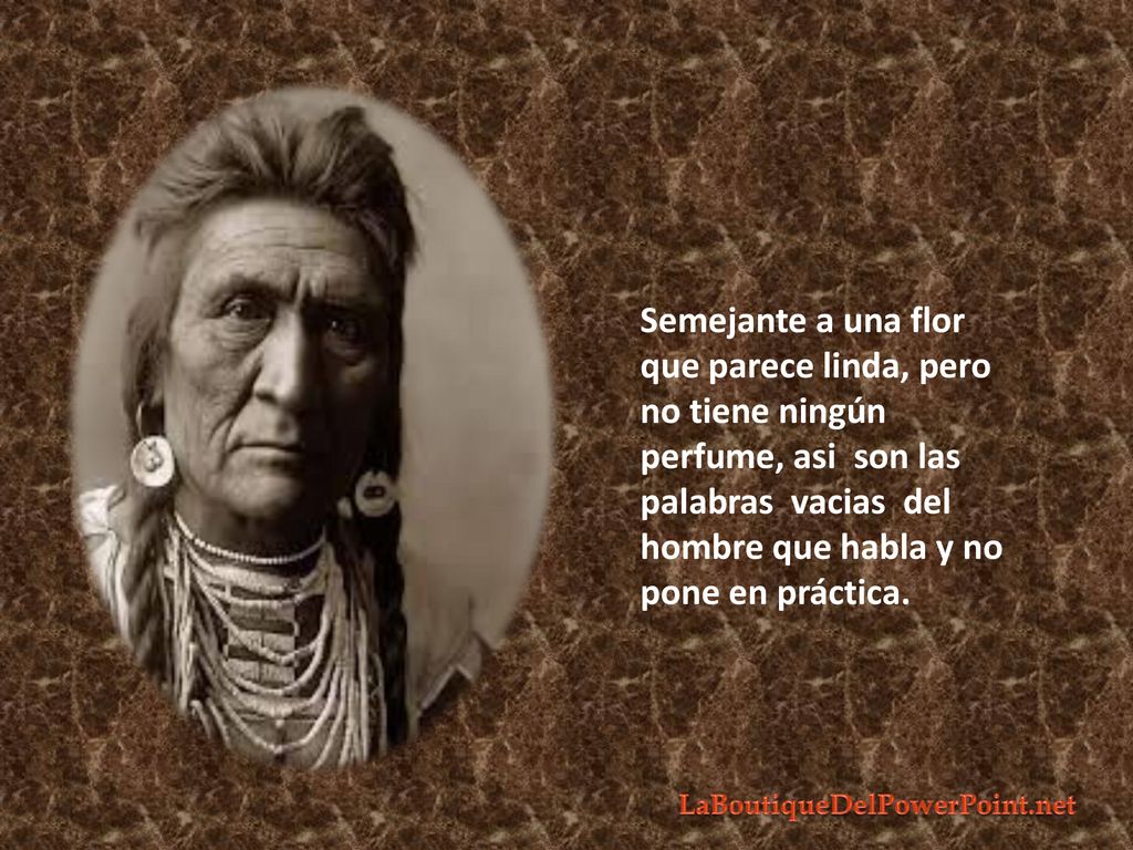 Semejante a una flor que parece linda, pero no tiene ningún perfume, asi son las palabras vacias del hombre que habla y no pone en práctica.